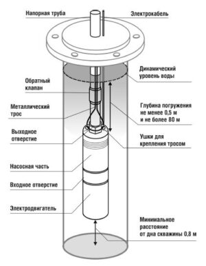 Скважинный насос BELAMOS TF3-80 (диаметр 78мм, кабель 50м) — изображение 4